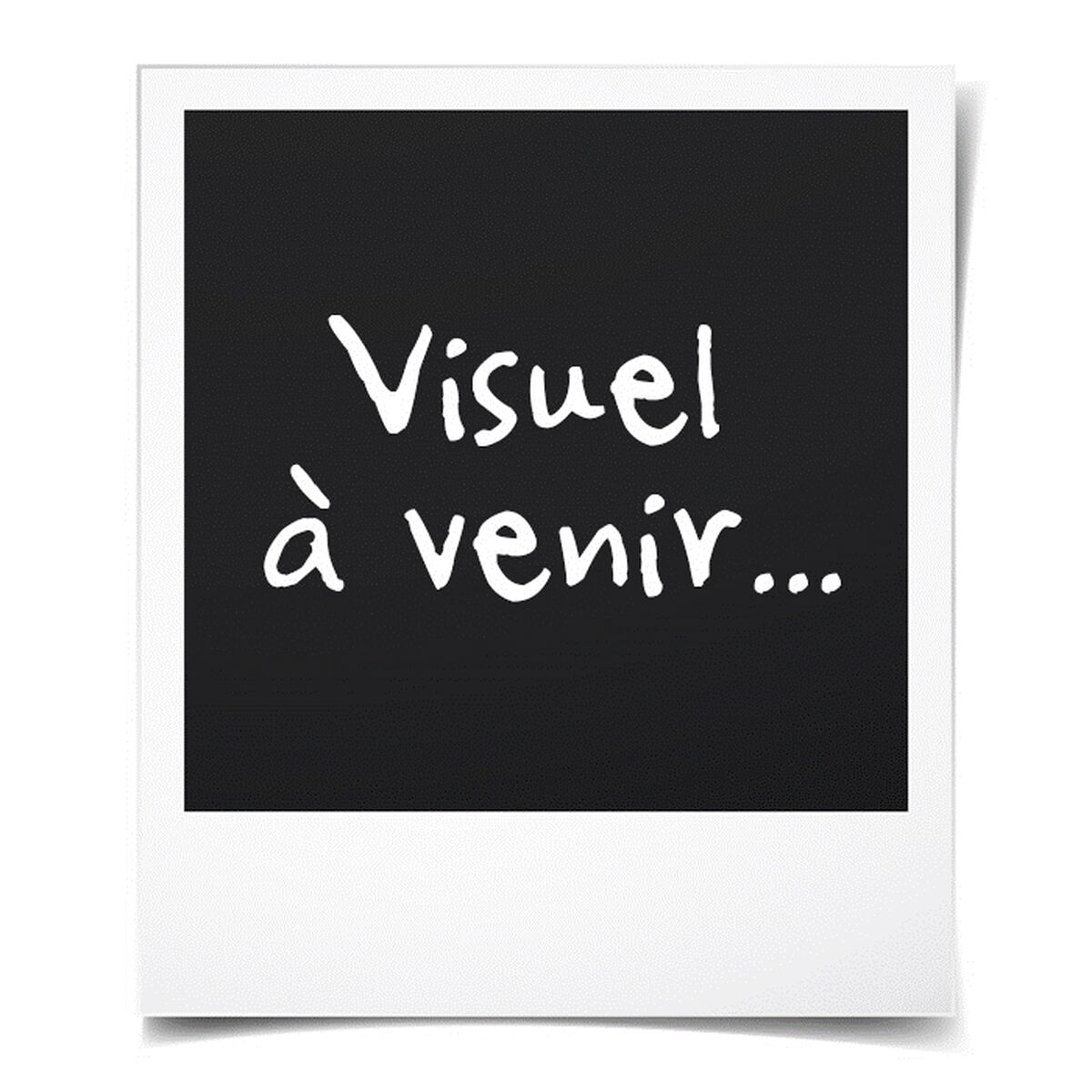 V6HAE33A336885555D214D9C2A13274B530R4587793P6