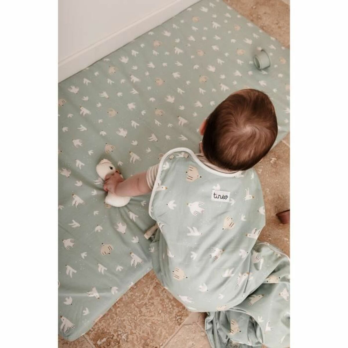 V4H53B32B3ED9C9B2FB57346248EB0A17ADR5774554P6