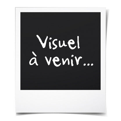 V6HAE33A336885555D214D9C2A13274B530R4587793P6