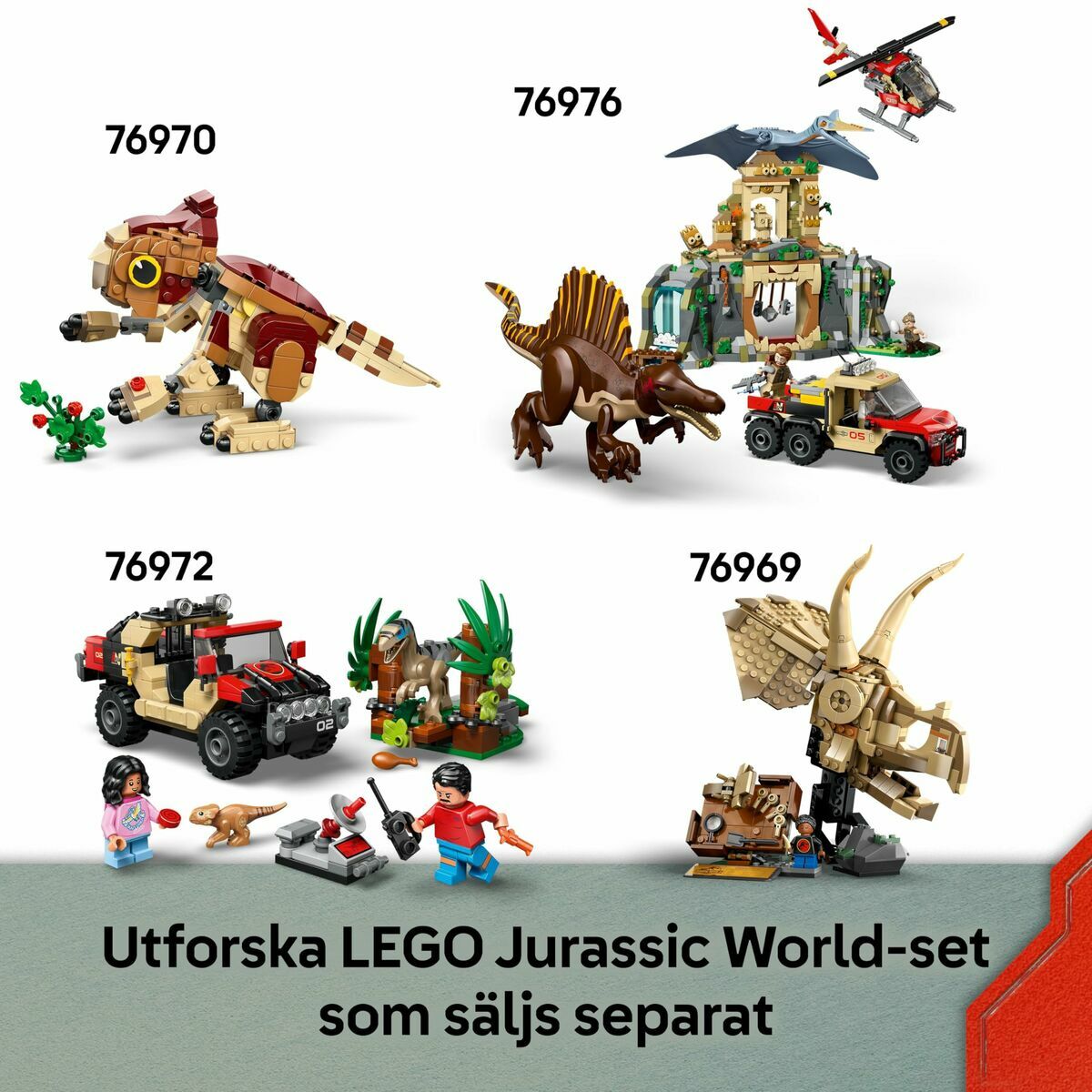 V4HD832E023365D9A0B836C2119BB70AECDR7032043P8