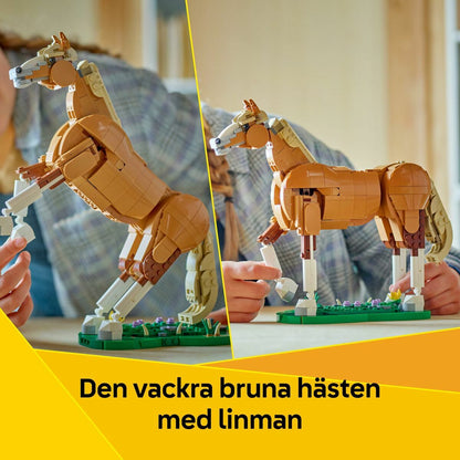 V5HEBD9C2B3D62F4968C1416C4A294128AAR7382416P4