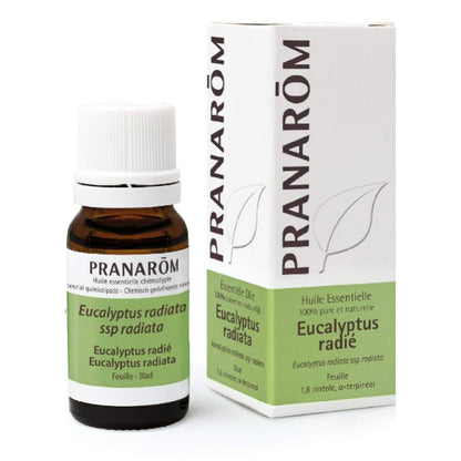 V8HB1C7F43A648458D91F582A7DA64321C3R3386016P1